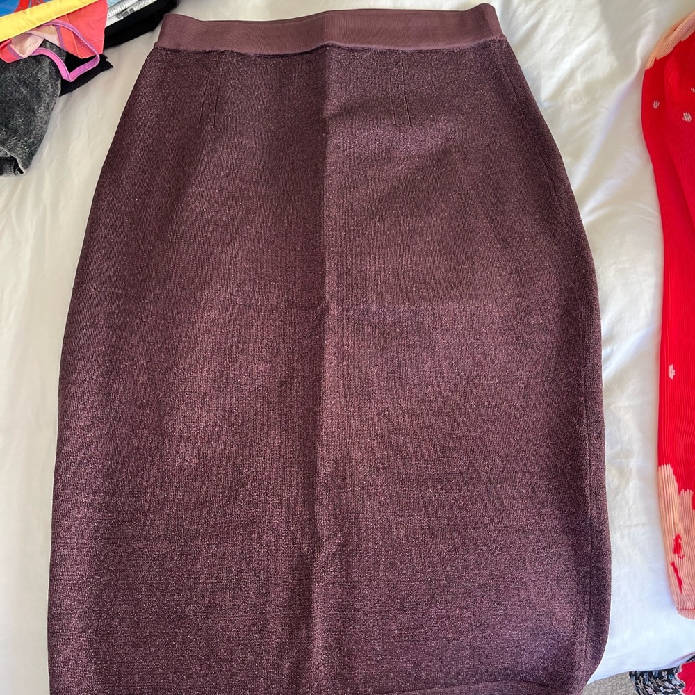 Elegant Maroon Women's Skirt
